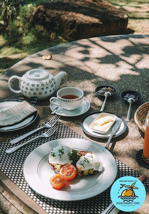 Best and amazing tour guide providers in Sri Lanka!