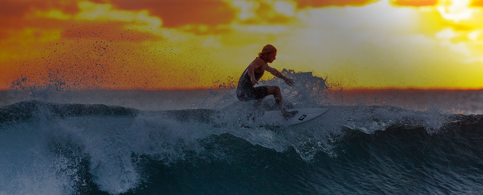 Best and amazing tour guide providers in Sri Lanka!