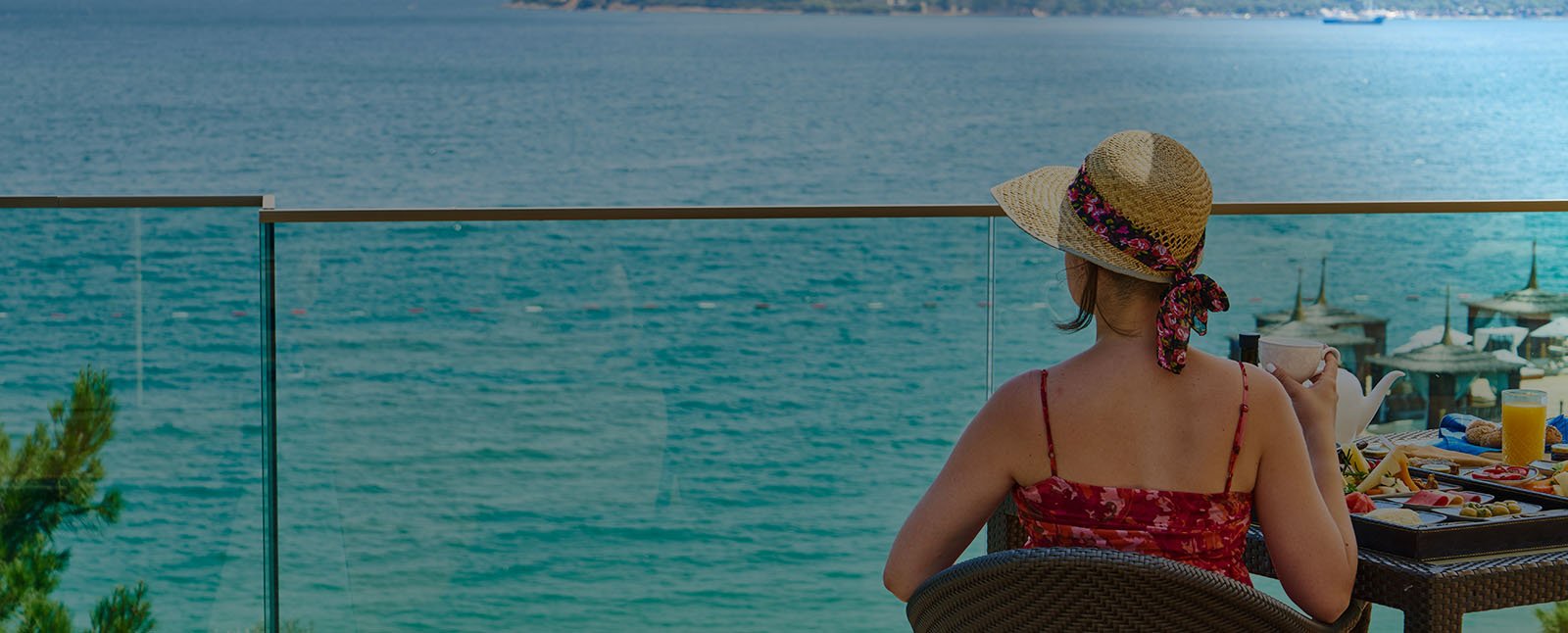 Best and amazing tour guide providers in Sri Lanka!